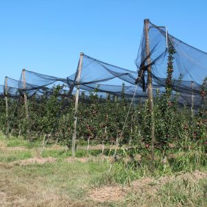 Azienda Agricola 2