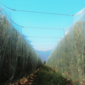 Azienda Agricola