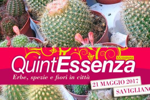Il 21 Maggio 2017 a Savigliano c’è Quintessenza!
